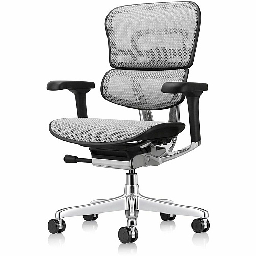 Eurotech ErgoHuman Gen2 Executive All-Mesh Chair Fiber Polymer Composite (FPC) Frame Material - 5-star Base - Gray - Mesh - Armrest - 1 Each (ME8ERGLOG2GY)