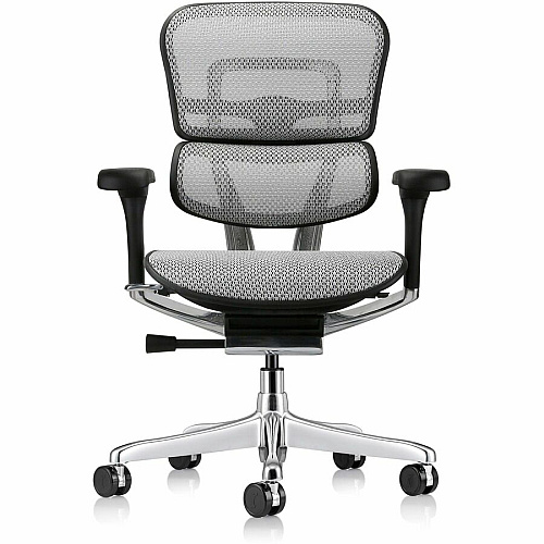 Eurotech ErgoHuman Gen2 Executive All-Mesh Chair Fiber Polymer Composite (FPC) Frame Material - 5-star Base - Gray - Mesh - Armrest - 1 Each (ME8ERGLOG2GY)