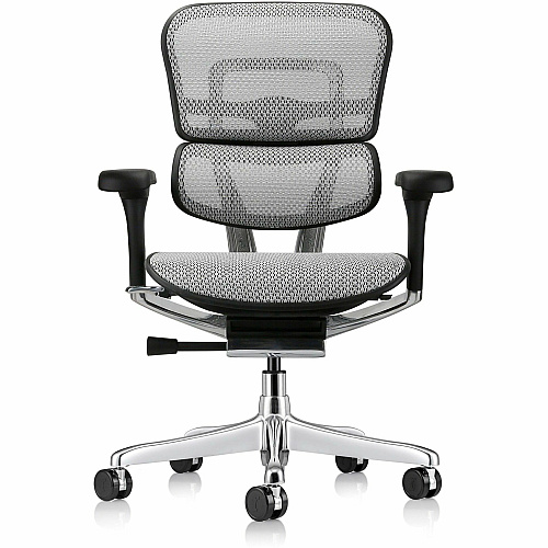 Eurotech ErgoHuman Gen2 Executive All-Mesh Chair Fiber Polymer Composite (FPC) Frame Material - 5-star Base - Gray - Mesh - Armrest - 1 Each (ME8ERGLOG2GY)