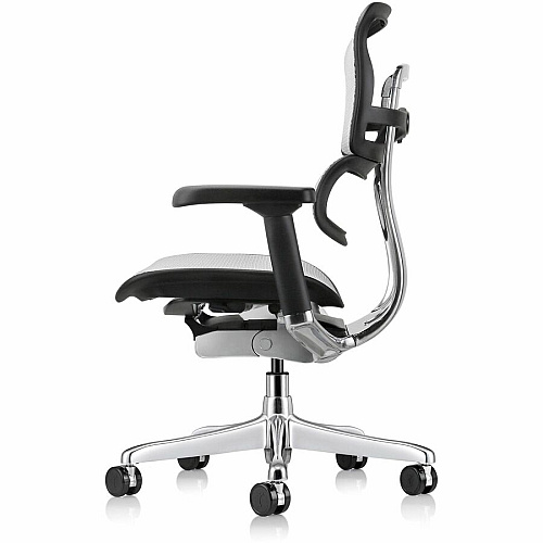 Eurotech ErgoHuman Gen2 Executive All-Mesh Chair Fiber Polymer Composite (FPC) Frame Material - 5-star Base - Gray - Mesh - Armrest - 1 Each (ME8ERGLOG2GY)