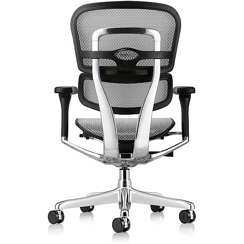 Eurotech ErgoHuman Gen2 Executive All-Mesh Chair Fiber Polymer Composite (FPC) Frame Material - 5-star Base - Gray - Mesh - Armrest - 1 Each (ME8ERGLOG2GY)