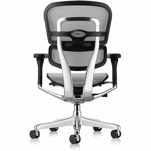 Eurotech ErgoHuman Gen2 Executive All-Mesh Chair Fiber Polymer Composite (FPC) Frame Material - 5-star Base - Gray - Mesh - Armrest - 1 Each (ME8ERGLOG2GY)