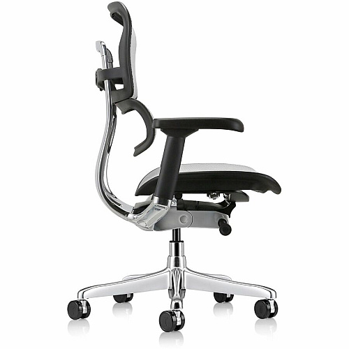 Eurotech ErgoHuman Gen2 Executive All-Mesh Chair Fiber Polymer Composite (FPC) Frame Material - 5-star Base - Gray - Mesh - Armrest - 1 Each (ME8ERGLOG2GY)