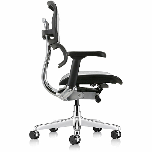 Eurotech ErgoHuman Gen2 Executive All-Mesh Chair Fiber Polymer Composite (FPC) Frame Material - 5-star Base - Gray - Mesh - Armrest - 1 Each (ME8ERGLOG2GY)