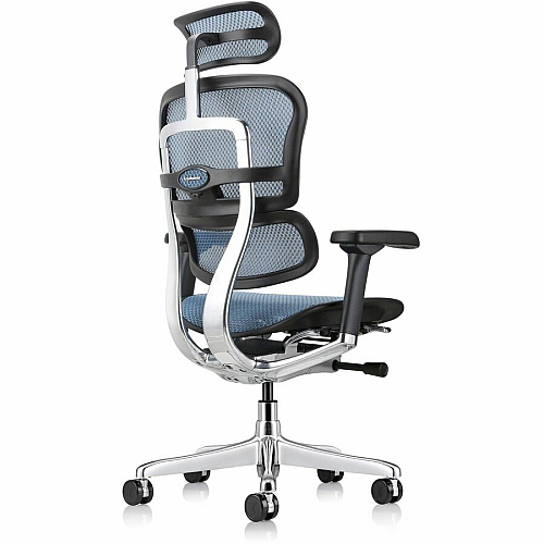 Eurotech ErgoHuman Gen2 Executive All-Mesh Chair Black Seat Color - Mesh Seat Material - Black Back Color - Mesh Back Material - Black Frame Color - Fiber Polymer Composite (FPC) Frame Material - 5-star Base - Blue - Mesh - Armrest - 1 Each (ME7ERGG2BL)