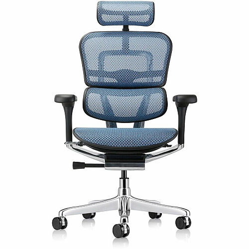 Eurotech ErgoHuman Gen2 Executive All-Mesh Chair Black Seat Color - Mesh Seat Material - Black Back Color - Mesh Back Material - Black Frame Color - Fiber Polymer Composite (FPC) Frame Material - 5-star Base - Blue - Mesh - Armrest - 1 Each (ME7ERGG2BL)