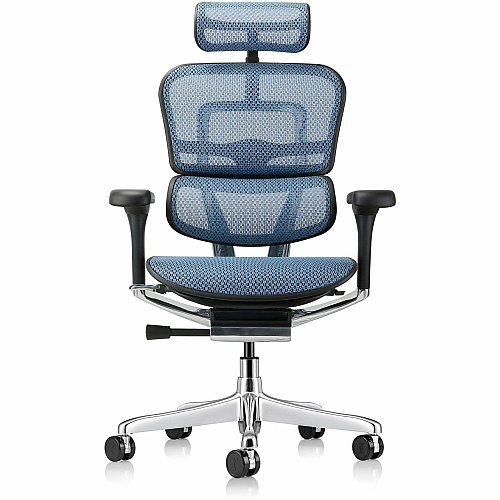 Eurotech ErgoHuman Gen2 Executive All-Mesh Chair Black Seat Color - Mesh Seat Material - Black Back Color - Mesh Back Material - Black Frame Color - Fiber Polymer Composite (FPC) Frame Material - 5-star Base - Blue - Mesh - Armrest - 1 Each (ME7ERGG2BL)