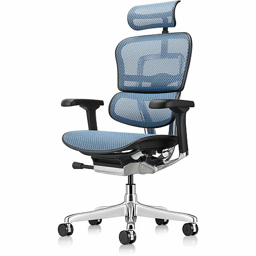 Eurotech ErgoHuman Gen2 Executive All-Mesh Chair Black Seat Color - Mesh Seat Material - Black Back Color - Mesh Back Material - Black Frame Color - Fiber Polymer Composite (FPC) Frame Material - 5-star Base - Blue - Mesh - Armrest - 1 Each (ME7ERGG2BL)