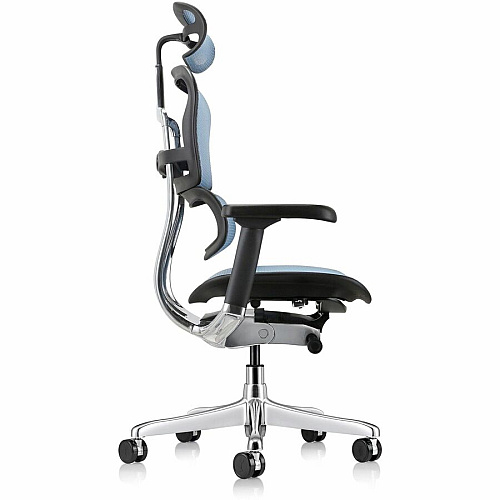 Eurotech ErgoHuman Gen2 Executive All-Mesh Chair Black Seat Color - Mesh Seat Material - Black Back Color - Mesh Back Material - Black Frame Color - Fiber Polymer Composite (FPC) Frame Material - 5-star Base - Blue - Mesh - Armrest - 1 Each (ME7ERGG2BL)