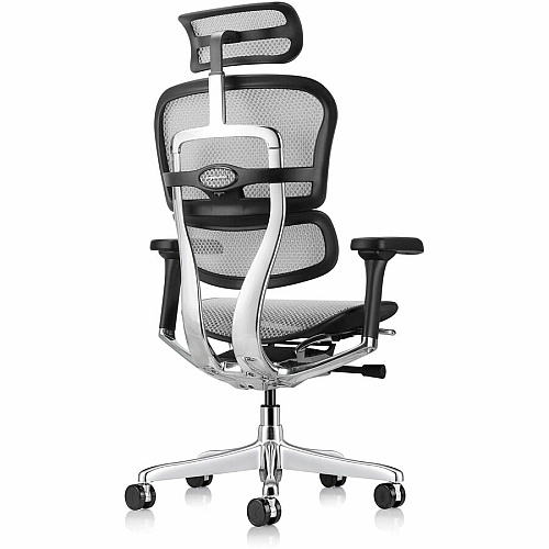 Eurotech ErgoHuman Gen2 Executive All-Mesh Chair Black Seat Color - Mesh Seat Material - Black Back Color - Mesh Back Material - Black Frame Color - Fiber Polymer Composite (FPC) Frame Material - 5-star Base - Gray - Mesh - Armrest - 1 Each (ME7ERGG2GY)