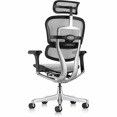 Eurotech ErgoHuman Gen2 Executive All-Mesh Chair Black Seat Color - Mesh Seat Material - Black Back Color - Mesh Back Material - Black Frame Color - Fiber Polymer Composite (FPC) Frame Material - 5-star Base - Gray - Mesh - Armrest - 1 Each (ME7ERGG2GY)