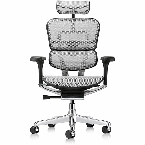 Eurotech ErgoHuman Gen2 Executive All-Mesh Chair Black Seat Color - Mesh Seat Material - Black Back Color - Mesh Back Material - Black Frame Color - Fiber Polymer Composite (FPC) Frame Material - 5-star Base - Gray - Mesh - Armrest - 1 Each (ME7ERGG2GY)