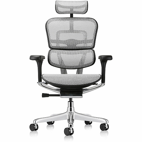 Eurotech ErgoHuman Gen2 Executive All-Mesh Chair Black Seat Color - Mesh Seat Material - Black Back Color - Mesh Back Material - Black Frame Color - Fiber Polymer Composite (FPC) Frame Material - 5-star Base - Gray - Mesh - Armrest - 1 Each (ME7ERGG2GY)