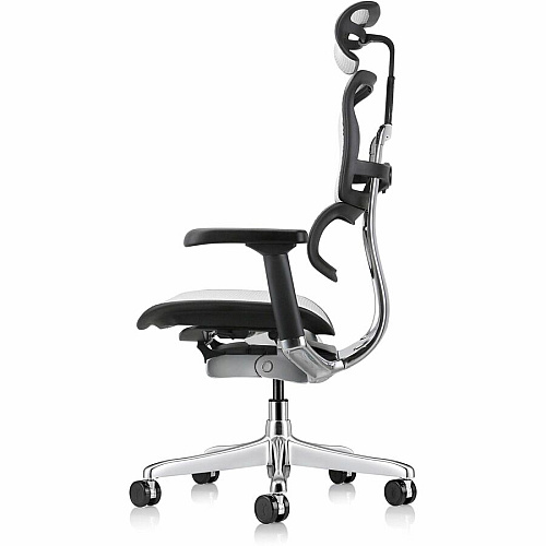 Eurotech ErgoHuman Gen2 Executive All-Mesh Chair Black Seat Color - Mesh Seat Material - Black Back Color - Mesh Back Material - Black Frame Color - Fiber Polymer Composite (FPC) Frame Material - 5-star Base - Gray - Mesh - Armrest - 1 Each (ME7ERGG2GY)