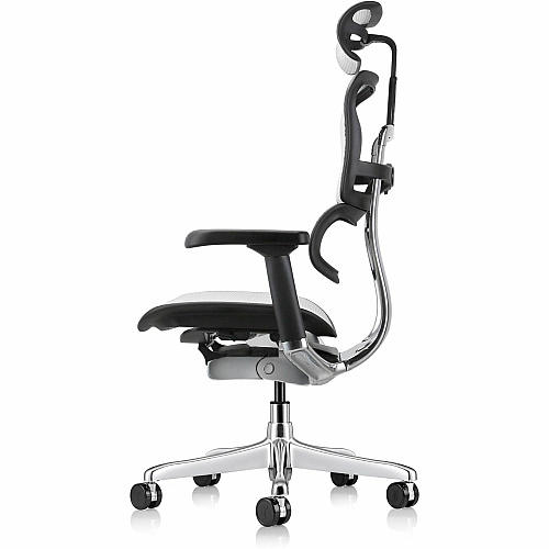 Eurotech ErgoHuman Gen2 Executive All-Mesh Chair Black Seat Color - Mesh Seat Material - Black Back Color - Mesh Back Material - Black Frame Color - Fiber Polymer Composite (FPC) Frame Material - 5-star Base - Gray - Mesh - Armrest - 1 Each (ME7ERGG2GY)