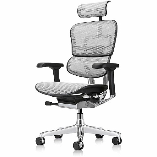 Eurotech ErgoHuman Gen2 Executive All-Mesh Chair Black Seat Color - Mesh Seat Material - Black Back Color - Mesh Back Material - Black Frame Color - Fiber Polymer Composite (FPC) Frame Material - 5-star Base - Gray - Mesh - Armrest - 1 Each (ME7ERGG2GY)