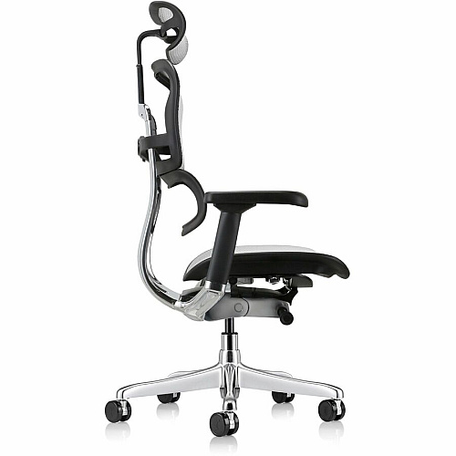 Eurotech ErgoHuman Gen2 Executive All-Mesh Chair Black Seat Color - Mesh Seat Material - Black Back Color - Mesh Back Material - Black Frame Color - Fiber Polymer Composite (FPC) Frame Material - 5-star Base - Gray - Mesh - Armrest - 1 Each (ME7ERGG2GY)