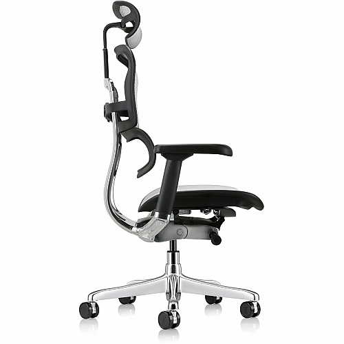 Eurotech ErgoHuman Gen2 Executive All-Mesh Chair Black Seat Color - Mesh Seat Material - Black Back Color - Mesh Back Material - Black Frame Color - Fiber Polymer Composite (FPC) Frame Material - 5-star Base - Gray - Mesh - Armrest - 1 Each (ME7ERGG2GY)