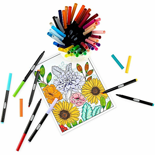 Crayola Color & Detail Marker Set Fine Marker Point - Multi Ink - 50 / Pack (586751)