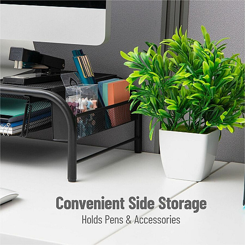 Mind Reader Monitor Stand and Organizer (MESHMONSTA)