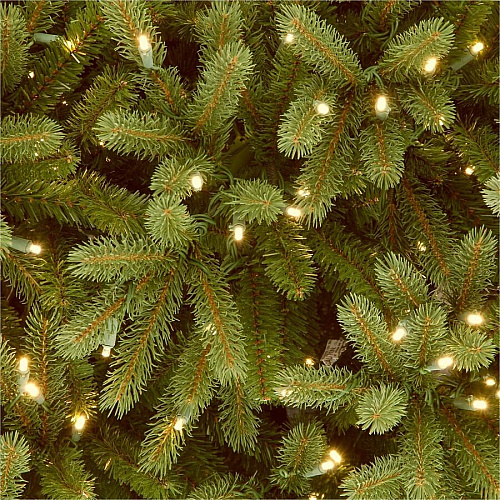National Tree Company National Tree Jersey Fraser Fir Christmas Tree - Green Christmas Theme - Vertical - 1 Each (729083971624)