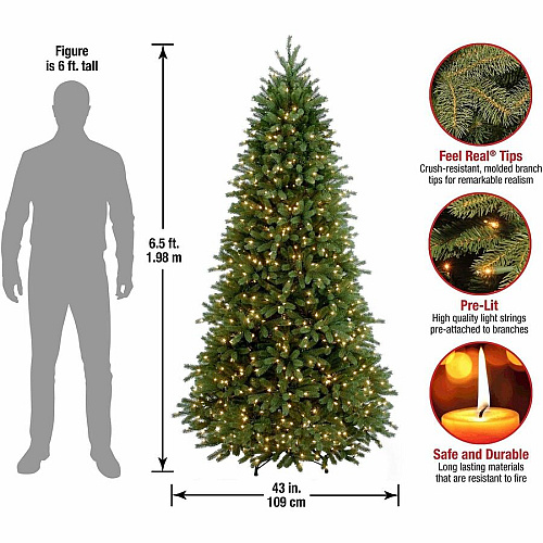 National Tree Company National Tree Jersey Fraser Fir Christmas Tree - Green Christmas Theme - Vertical - 1 Each (729083971624)