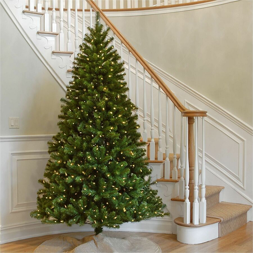 eazyzoom