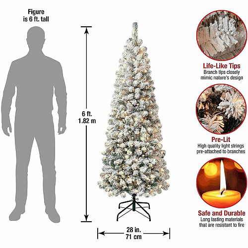 National Tree Company National Tree Acacia Christmas Tree - Green Christmas Theme - Vertical - 1 Each (729083275050)