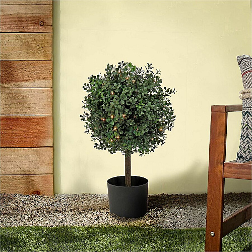 National Tree Company National Tree Boxwood Topiary Tree 2" Tall - Boxwood - Topiary - Pot1 Each (729083527173)