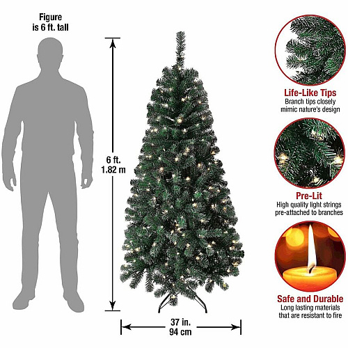 National Tree Company National Tree Acacia Christmas Tree - Green Christmas Theme - Vertical - 1 Each (729083275562)