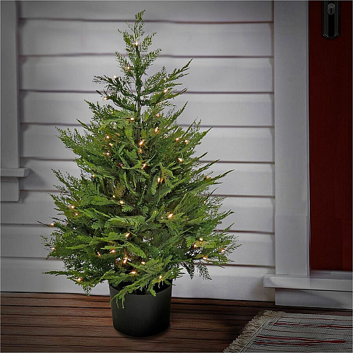 National Tree Company National Tree Cypress Artificial Tree Cypress - Pot1 Each (729083527265)