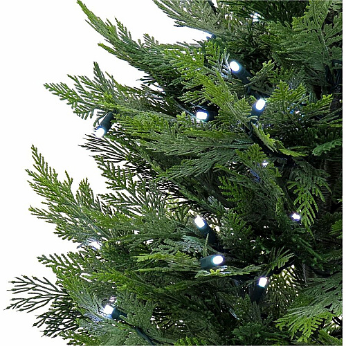 National Tree Company National Tree Cypress Topiary Tree Cypress - Topiary - Pot1 Each (729083527333)