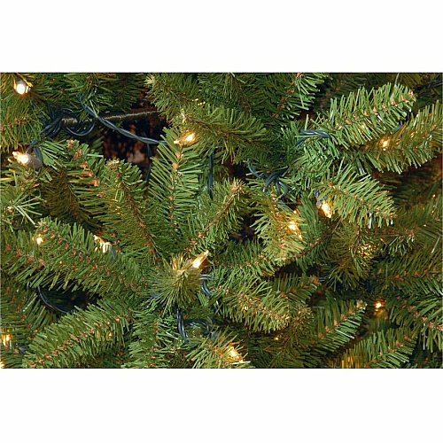 National Tree Company National Tree Kingswood Fir Christmas Tree - Green Christmas Theme - Vertical - 1 Each (729083175916)