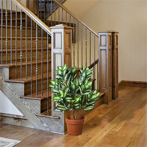 National Tree Company National Tree Hosta Topiary Plan 30" Tall - Hosta - Topiary - Pot1 Each (729083600357)