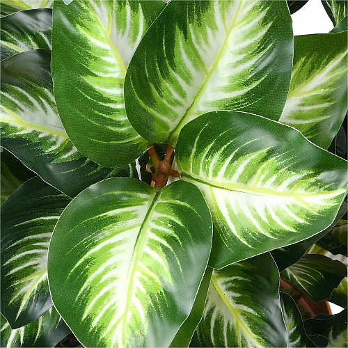 National Tree Company National Tree Hosta Topiary Plan 30" Tall - Hosta - Topiary - Pot1 Each (729083600357)