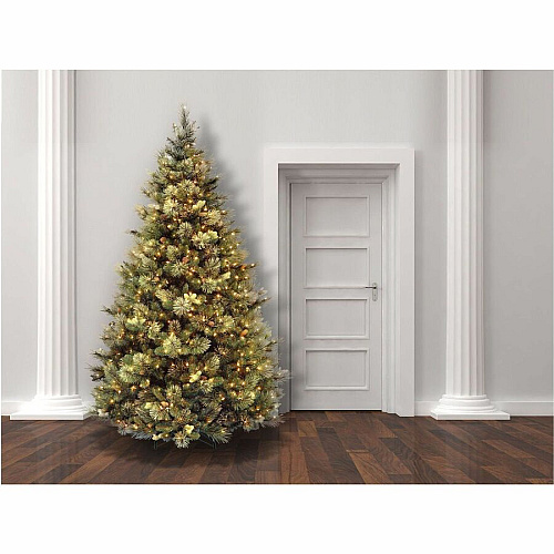 National Tree Company National Tree Carolina Pine Christmas Tree - Green Christmas Theme - Vertical - 1 Each (729083945977)