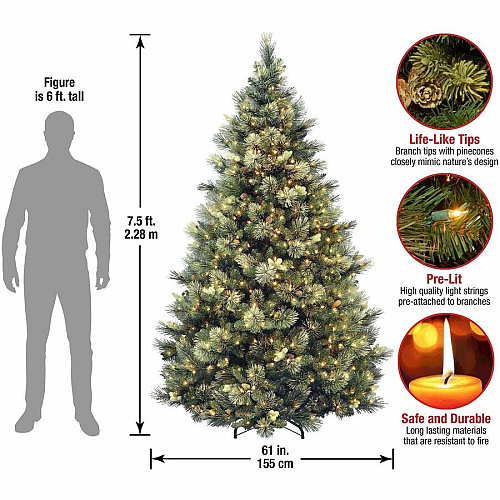 National Tree Company National Tree Carolina Pine Christmas Tree - Green Christmas Theme - Vertical - 1 Each (729083945977)