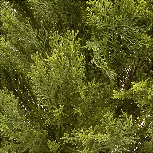 National Tree Company National Tree Globe Juniper Topiary Tree Juniper - Topiary - Pot1 Each (729083602283)