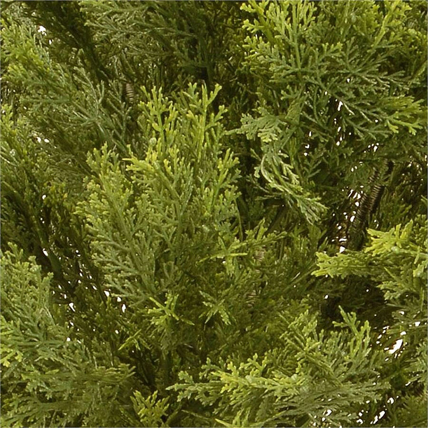 eazyzoom