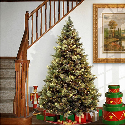National Tree Company National Tree Carolina Pine Christmas Tree - Green Christmas Theme - Vertical - 1 Each (729083950117)