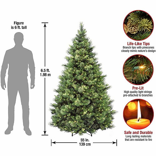 National Tree Company National Tree Carolina Pine Christmas Tree - Green Christmas Theme - Vertical - 1 Each (729083950117)