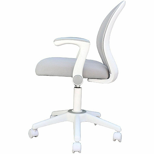 Boss Grey Mesh, Flip Arm, Task Chair, White Frame Gray Seat Color - Foam, Fabric Seat Material - Gray Back Color - Mesh Back Material - White Frame Color - 5-star Base - Gray - Mesh, Fabric - Armrest - 1 Each (676WTGY)