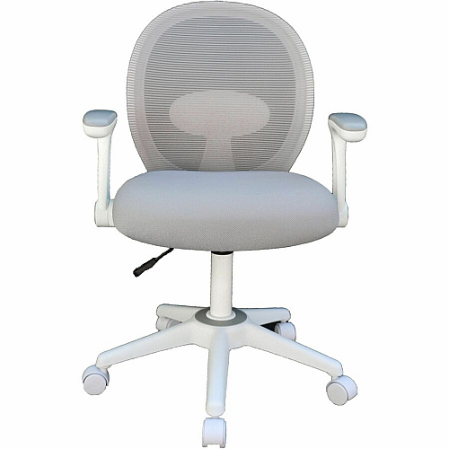 Boss Grey Mesh, Flip Arm, Task Chair, White Frame Gray Seat Color - Foam, Fabric Seat Material - Gray Back Color - Mesh Back Material - White Frame Color - 5-star Base - Gray - Mesh, Fabric - Armrest - 1 Each (676WTGY)