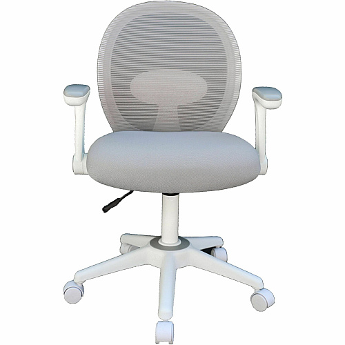 Boss Grey Mesh, Flip Arm, Task Chair, White Frame Gray Seat Color - Foam, Fabric Seat Material - Gray Back Color - Mesh Back Material - White Frame Color - 5-star Base - Gray - Mesh, Fabric - Armrest - 1 Each (676WTGY)