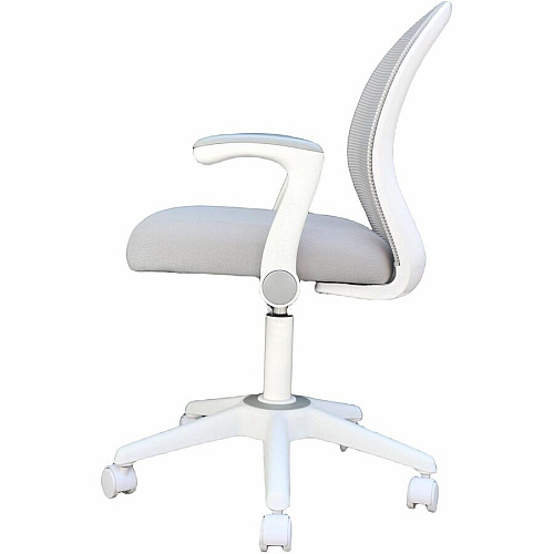 Boss Grey Mesh, Flip Arm, Task Chair, White Frame Gray Seat Color - Foam, Fabric Seat Material - Gray Back Color - Mesh Back Material - White Frame Color - 5-star Base - Gray - Mesh, Fabric - Armrest - 1 Each (676WTGY)