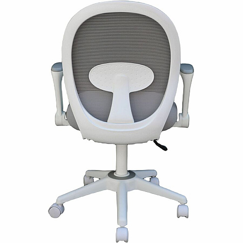 Boss Grey Mesh, Flip Arm, Task Chair, White Frame Gray Seat Color - Foam, Fabric Seat Material - Gray Back Color - Mesh Back Material - White Frame Color - 5-star Base - Gray - Mesh, Fabric - Armrest - 1 Each (676WTGY)