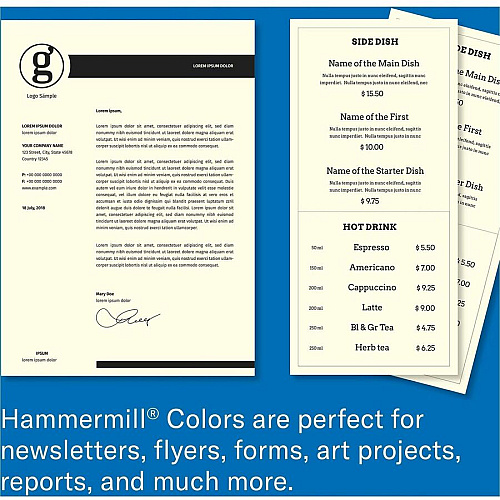 Hammermill Colors Copy Paper (168030CT)