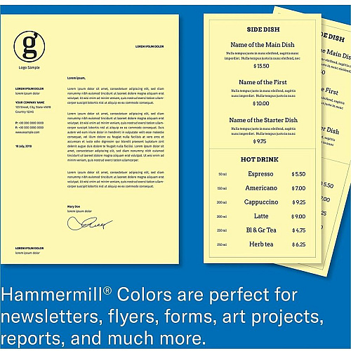 Hammermill 24lb Color Paper (104307CT)