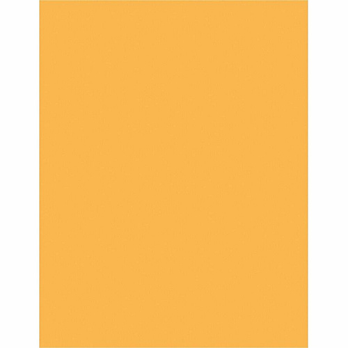 Sparco Premium Grade Pastel Color Copy Paper (05125CT)