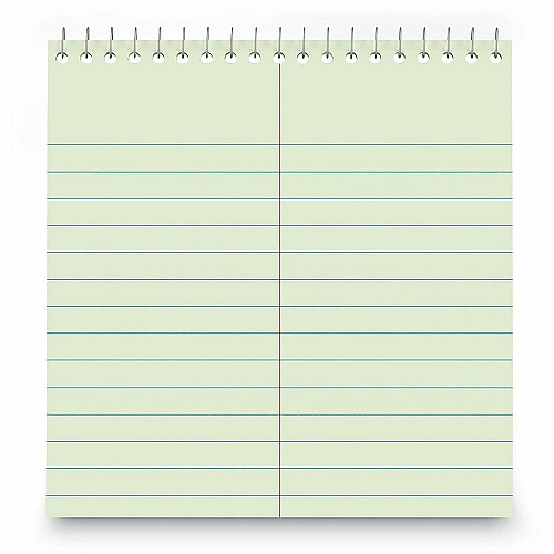 Business Source Green Tint Steno Notebook (26743)